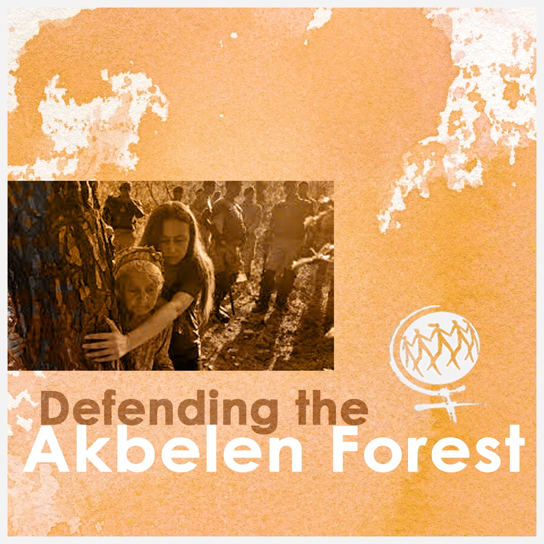 Defending the Akbelen Forest in Türkiye